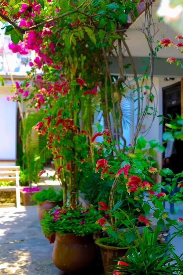 Garden Lodge Zanzibar Exteriör bild