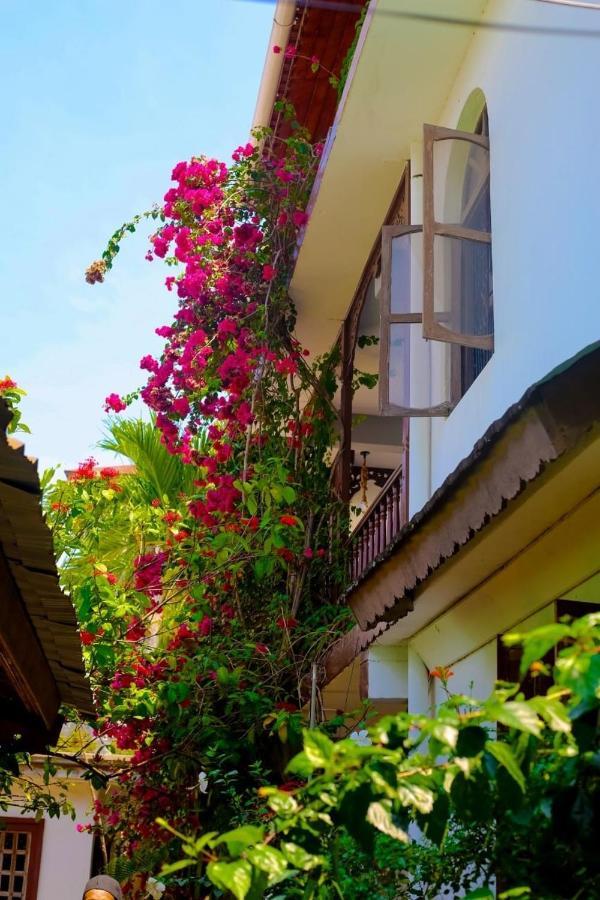 Garden Lodge Zanzibar Exteriör bild